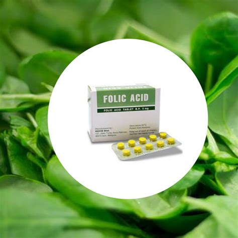 Image result for Folate Folic Acid
