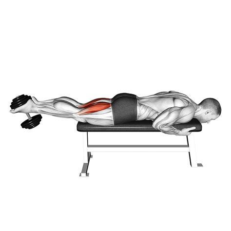 Image result for Hamstrings Leg Extensions