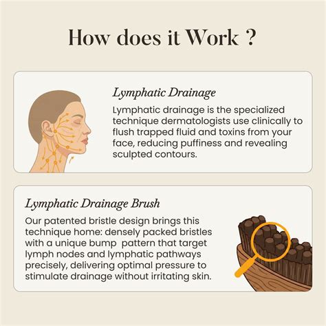 Lymphatic Contour Face Brush - Facial Massager for Jawline, Chin & Nec ...