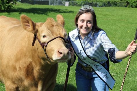 Image result for Spring Show