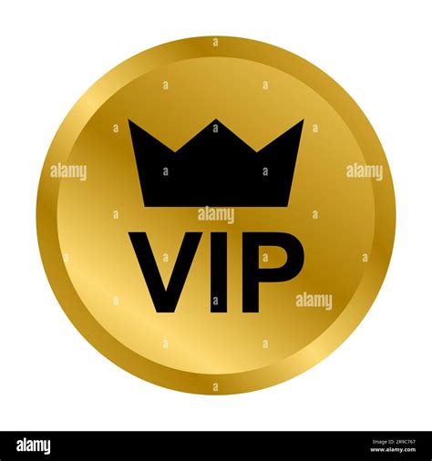 Animation VIP Logo 的图像结果