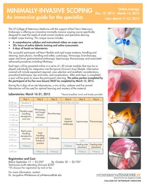 Fillable Online vet utk Information and mail in registration form - The ...