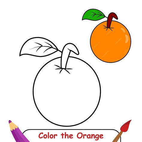 Premium Vector | Vector vector coloring book for kids, orange vector graphics