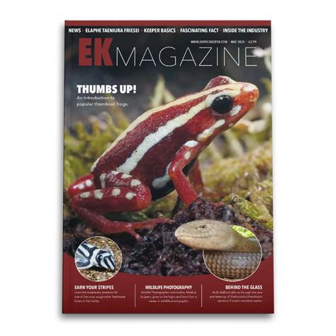 Image result for Reticulated Python Enclosure