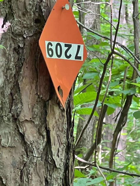 Turkey Bay OHV 7209, Kentucky - GPS Trail Map, Conditions & Difficulty ...
