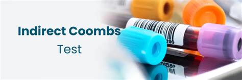 Indirect Coombs Test: Purpose, Procedure & Results