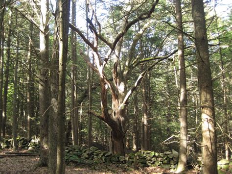 Holland Tourism (2024): All You Need to Know Before You Go