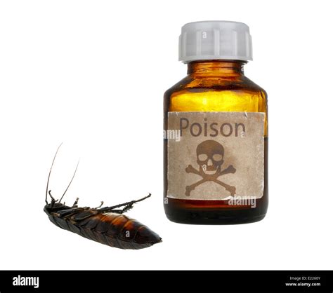 Image result for Cockroach Poison