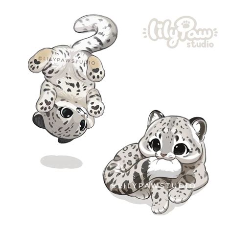 Snow Leopard Sketch Commish for Tattoo Design