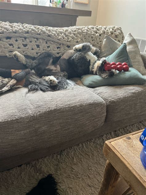 Steven Gardner on LinkedIn: Happy and Healthy 2023!! Some of us just ...