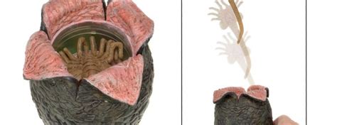 Image result for Alien Movie Egg Hatching