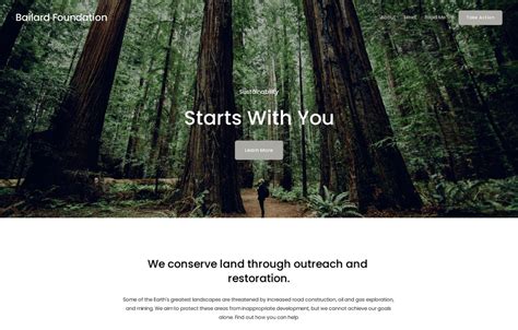 Freelance Website Programmers 的图像结果
