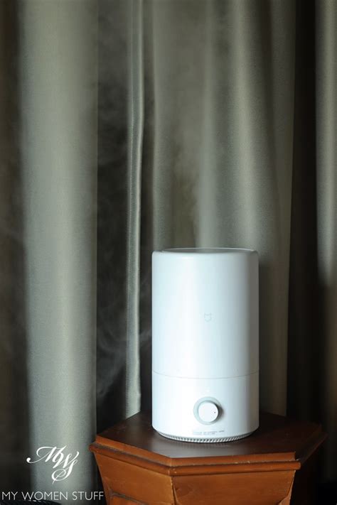 Humidifier 的图像结果