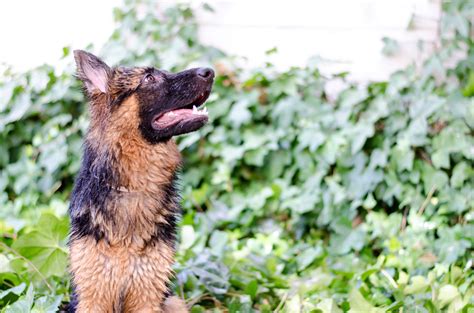Image result for InDesign Projects. Basic