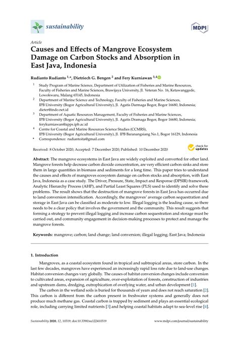 Update Java Windows 10 的图像结果