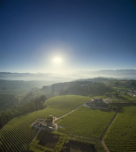 Minho (Vinho Verde) — Grace Campbell Wines