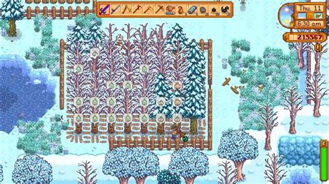 How To Get and Use Pine Tar in Stardew Valley - Deltia's Gaming