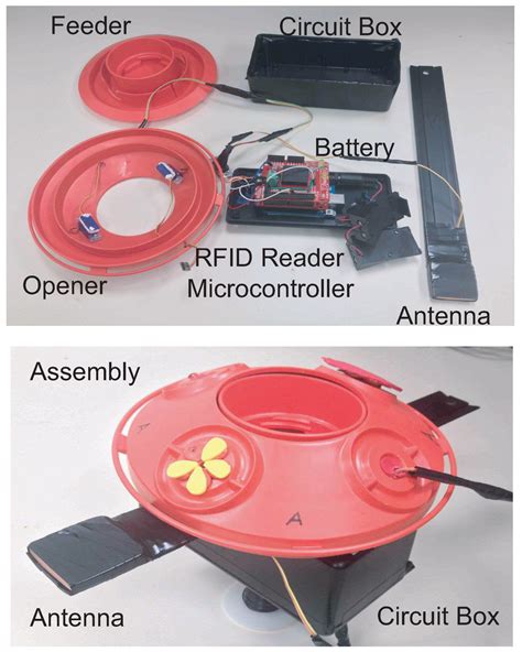 An RFID Based Smart Feeder for Hummingbirds