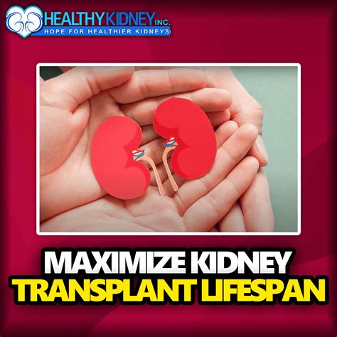 Maximize Kidney Transplant Lifespan - Healthy Kidney Inc.