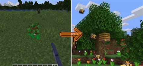 Bees In Minecraft: All You Need To Know | Gurugamer.com