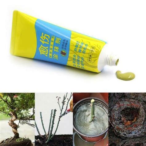 Buy Tree Wound Bonsai Cut Paste Smear Agent Pruning Compound Sealer ...