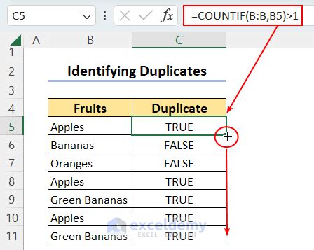 Image result for Excel Formula About Duplicate