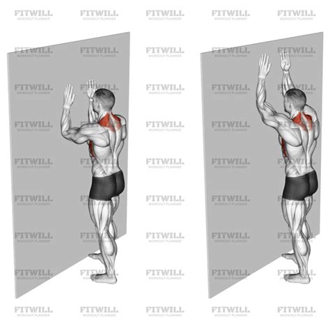 Serratus Wall Slide: Exercise Guide, Techniques, Benefits, How to ...