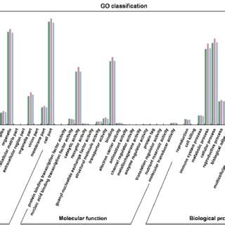Classification Channel Go 的图像结果