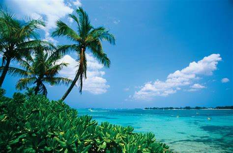 The Bahamas - Tropical, Islands, Caribbean | Britannica