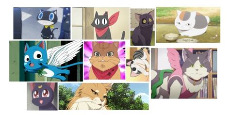 Image result for Cat Affection