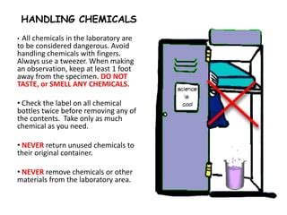 Basic Lab Safety 的图像结果