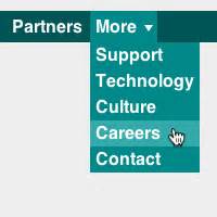 Image result for Responsive Software Navigation Design