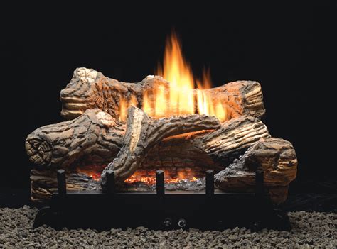 Image result for Gas Log Inserts