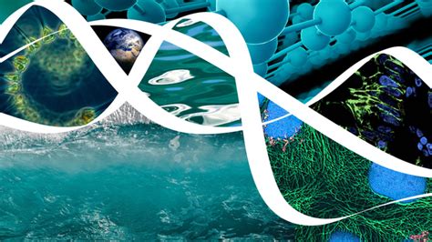 Top Stories Science 的图像结果