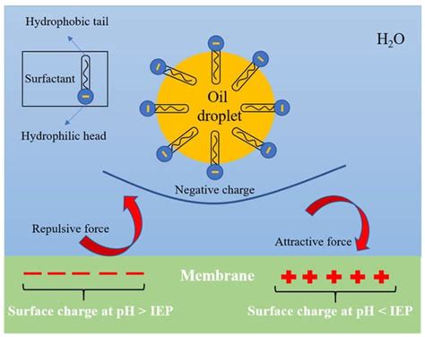 State-of-the-Art Ceramic Membranes for Oily Wastewater Treatment ...
