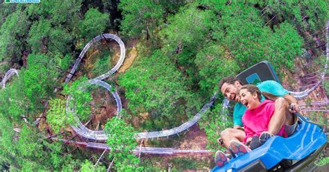 Datanla New Alpine Coaster Experience in Da Lat, Vietnam - Klook India