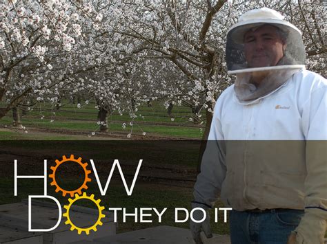 Image result for How Do They Do That