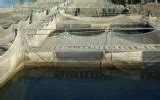 Fish Farming Methods 的图像结果