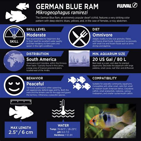 German Blue Ram - Fluval Aquatics UK