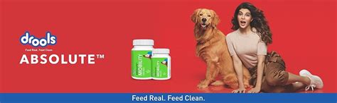 Drools Absolute Mobility Tablet - Dog Supplement,50 Pcs : Amazon.in ...