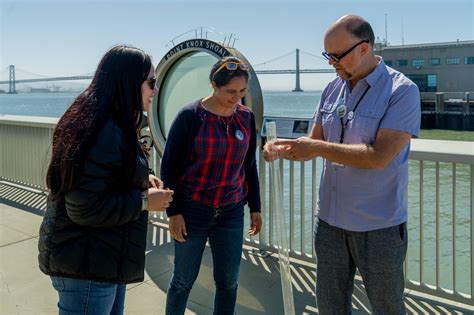 Image result for Electroscope Activity