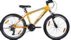FIREFOX BIKES Firefox Cyclone 24-21 Speed 24 T Mountain Cycle Price in ...