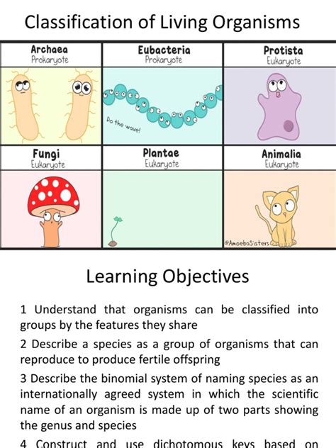 Classification PDF | PDF | Cell (Biology) | Organisms
