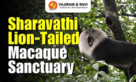 Sharavathi Lion-Tailed Macaque Wildlife Sanctuary, Flora and Fauna, News