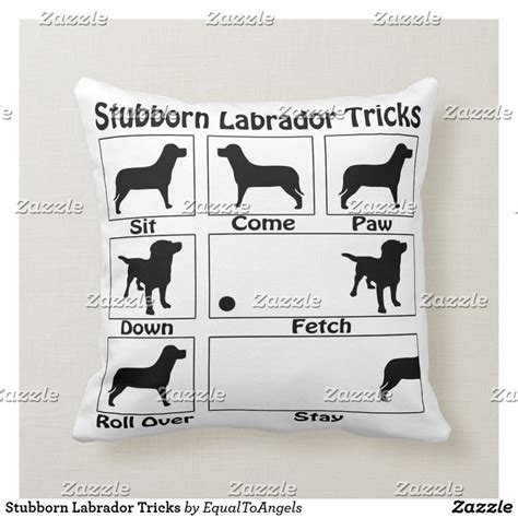 Image result for Labrador Tricks