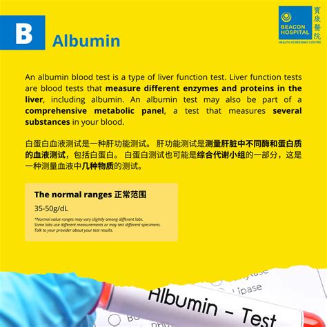 Image result for Liver Function Test Diagram