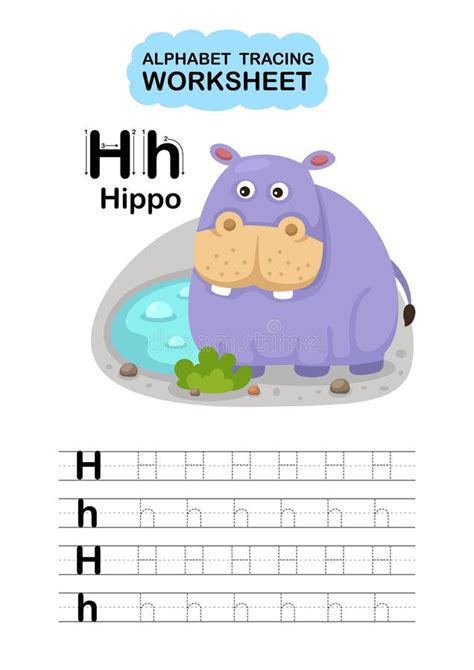 Illustration Isolated Animal Alphabet Tracing Worksheet Letter Hippo ...