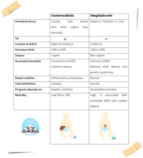 Gastroschisis vs Omphalocele (Exomphalos) - The Scrub Nurse