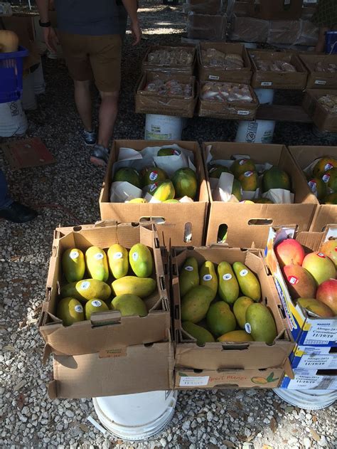 Coconut Grove Farmer's Market - Miami Florida Farmer's Market - HappyCow