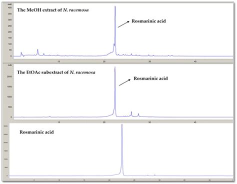 The Anthelmintic Activity of Nepeta racemosa Lam. Against ...